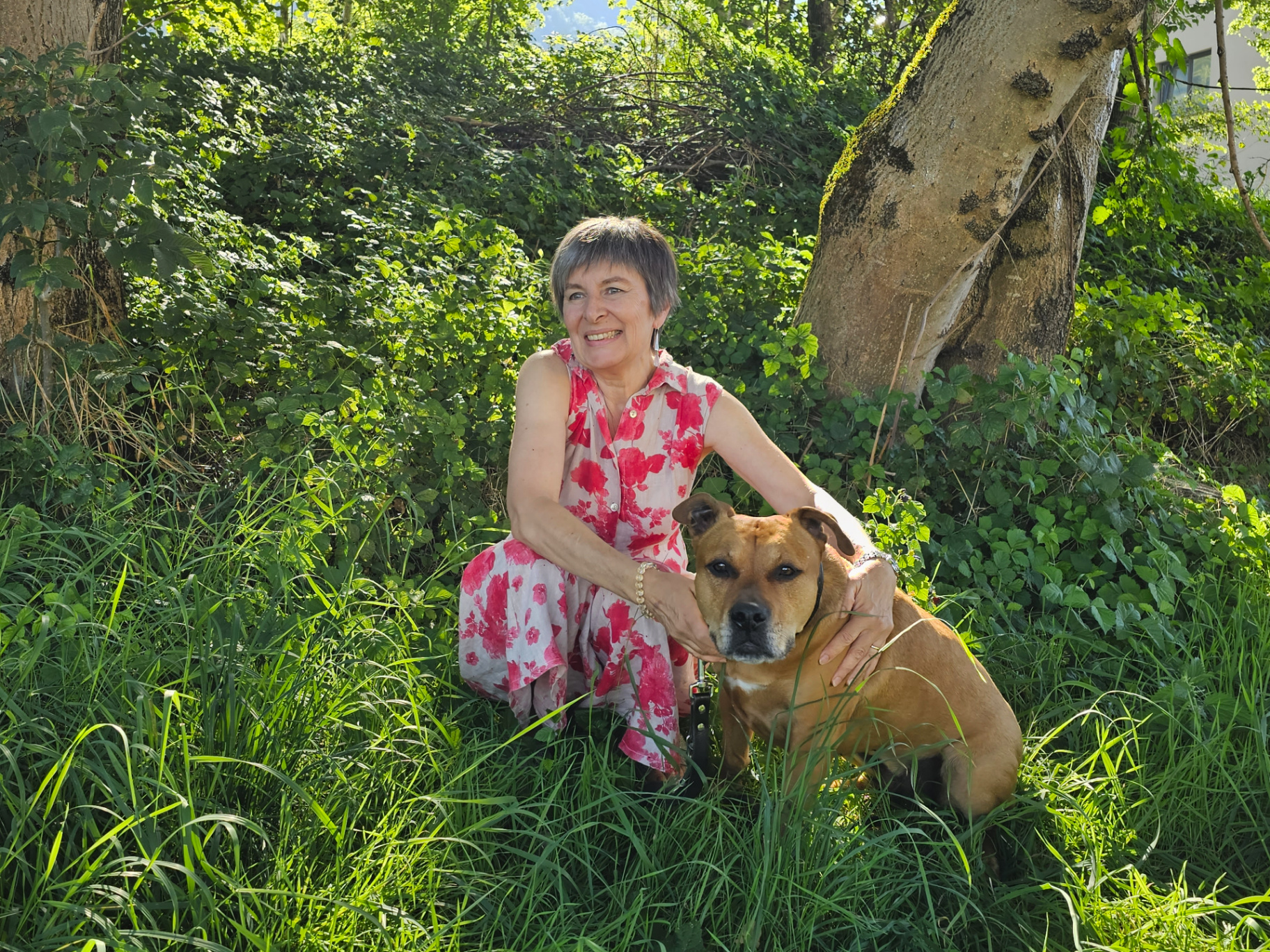 Heller Terrier-Mix im Grünen