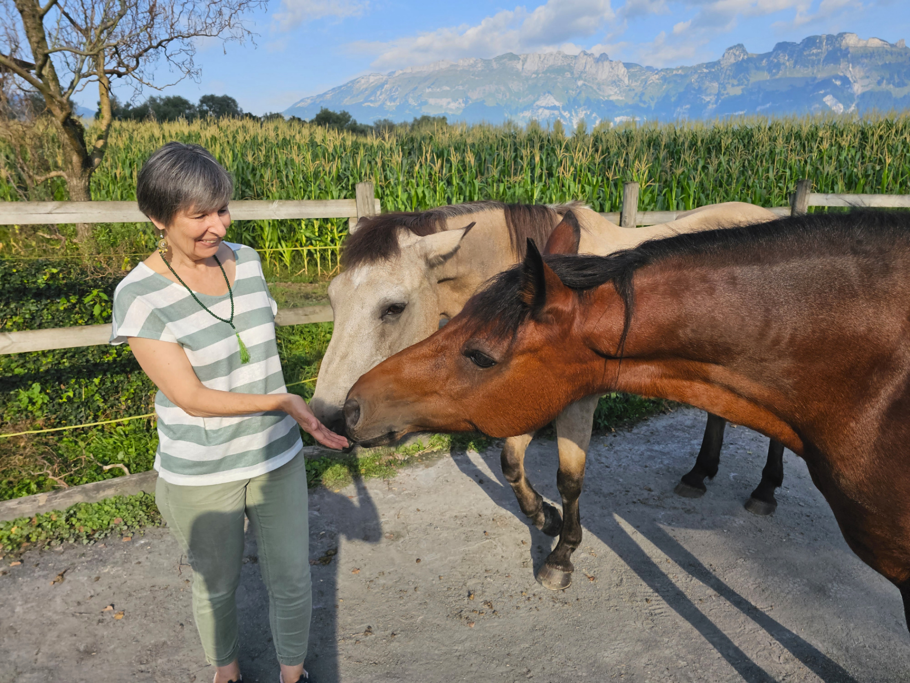 Andrea Beck lachend zwischen zwei Pferden vor Bergpanorama